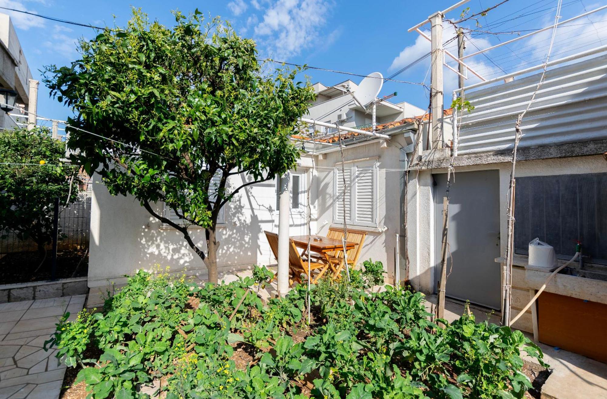 Apartments Pero - Free Parking Dubrovnik Dış mekan fotoğraf
